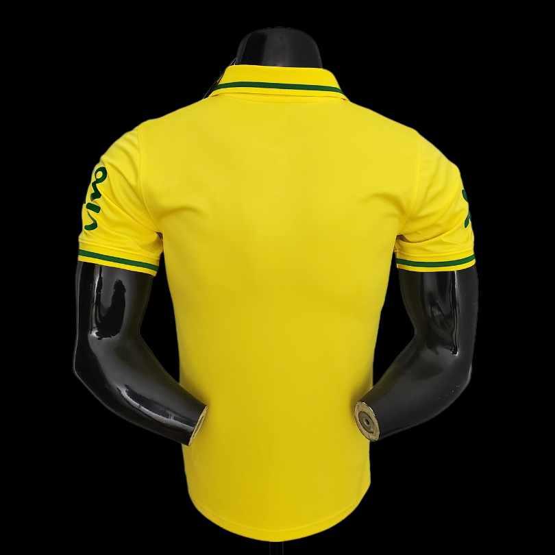 Camisa Brasil Passeio Masculino
