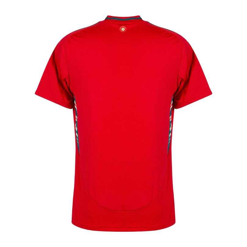 Camisa País de Gales 24/25 Home Torcedor Masculino