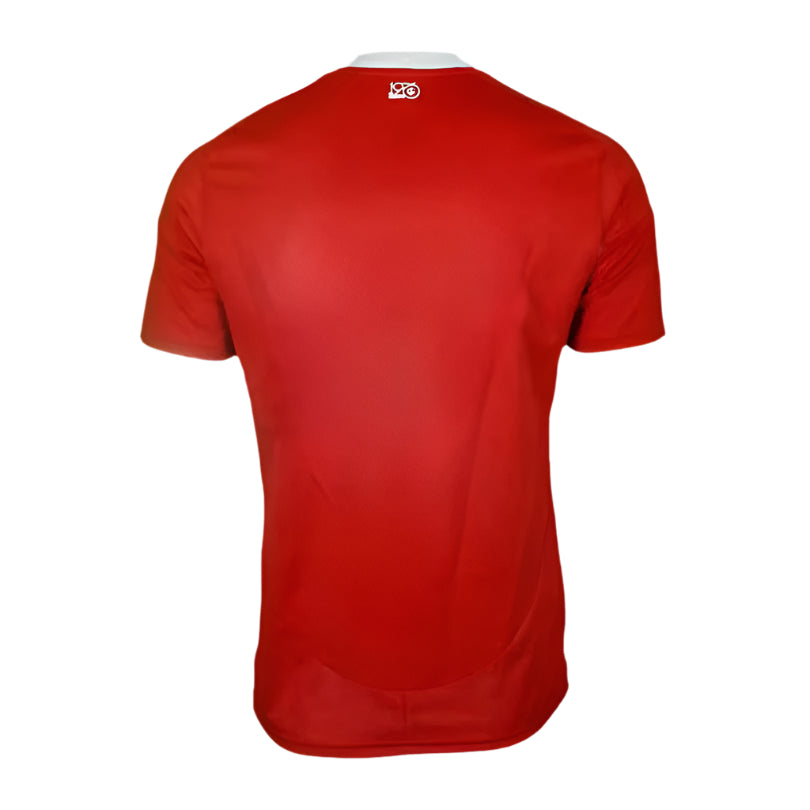 Camisa Internacional 25/26 Home Torcedor Masculino
