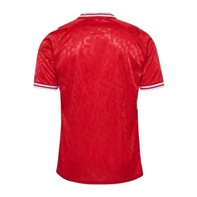 Camisa Dinamarca 24/25 Home Torcedor Masculino