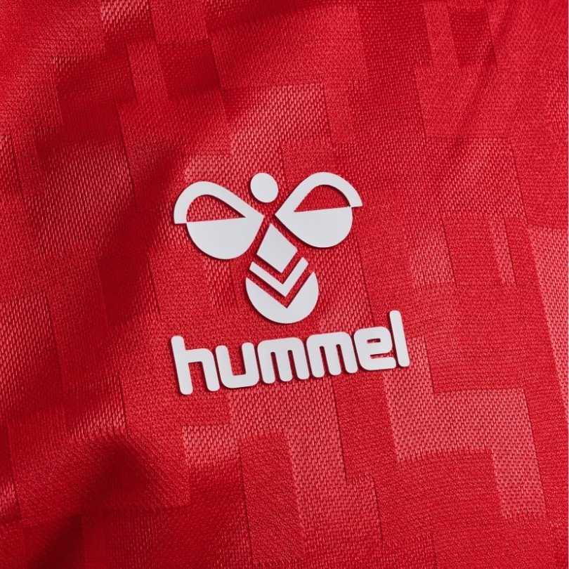 Camisa Dinamarca 24/25 Home Torcedor Masculino