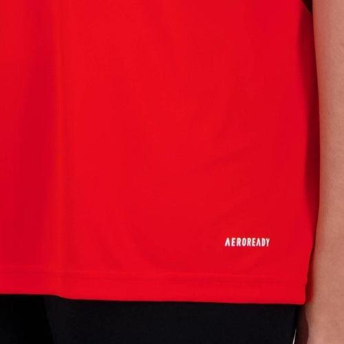 Camisa Internacional 24/25 Treino Torcedor Feminino