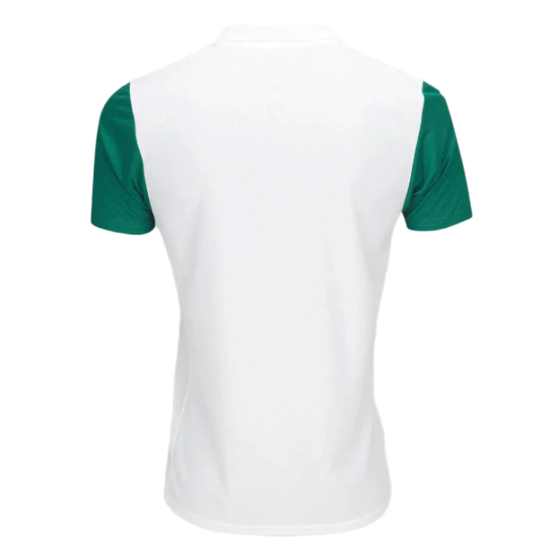 Camisa Palmeiras 2025/26 Away Torcedor Masculino
