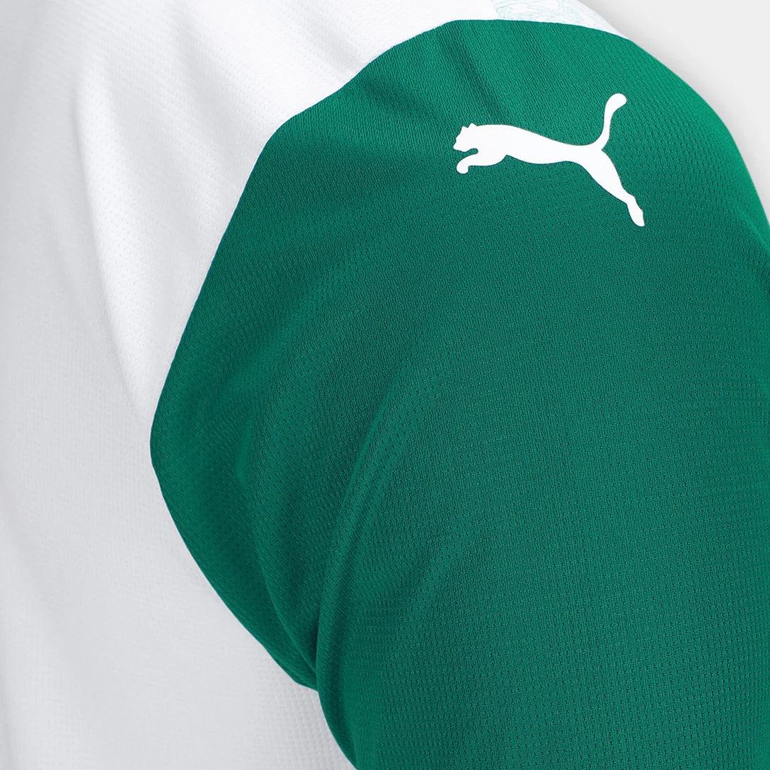 Camisa Palmeiras 2025/26 Away Torcedor Masculino