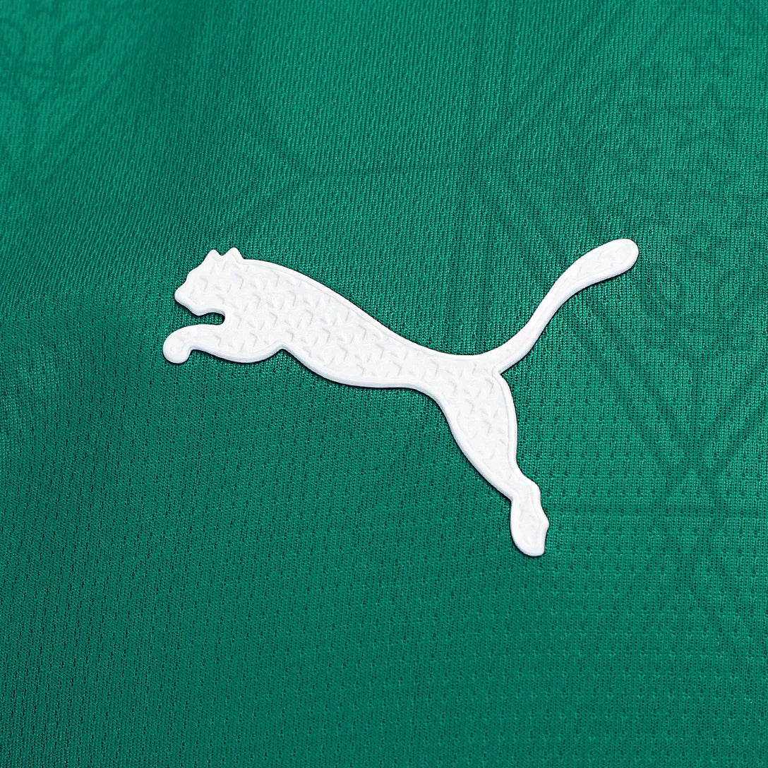 Camisa Palmeiras Jogador 2025/26 Home Masculino C/ Patrocínios
