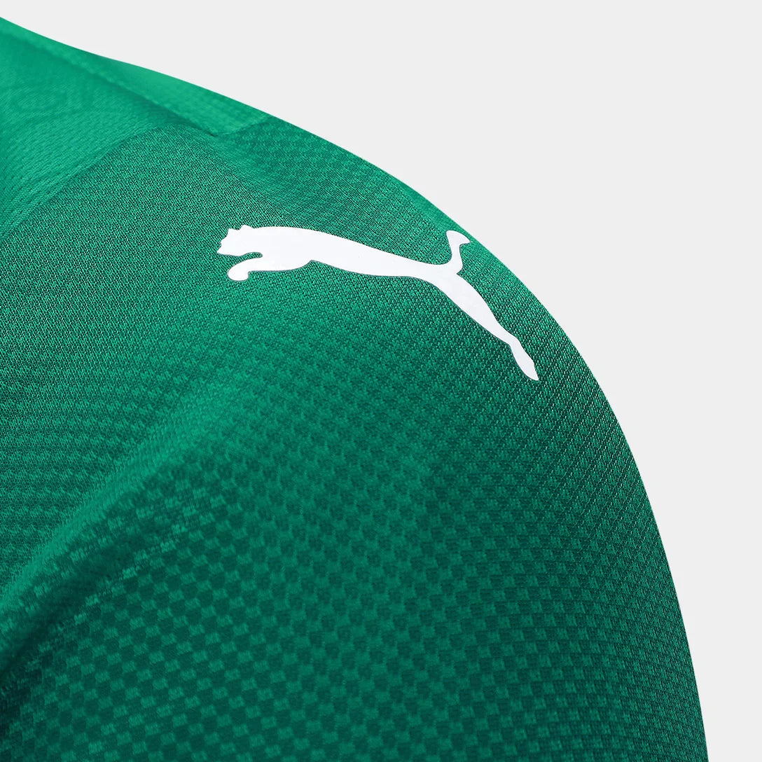 Camisa Palmeiras Jogador 2025/26 Home Masculino C/ Patrocínios