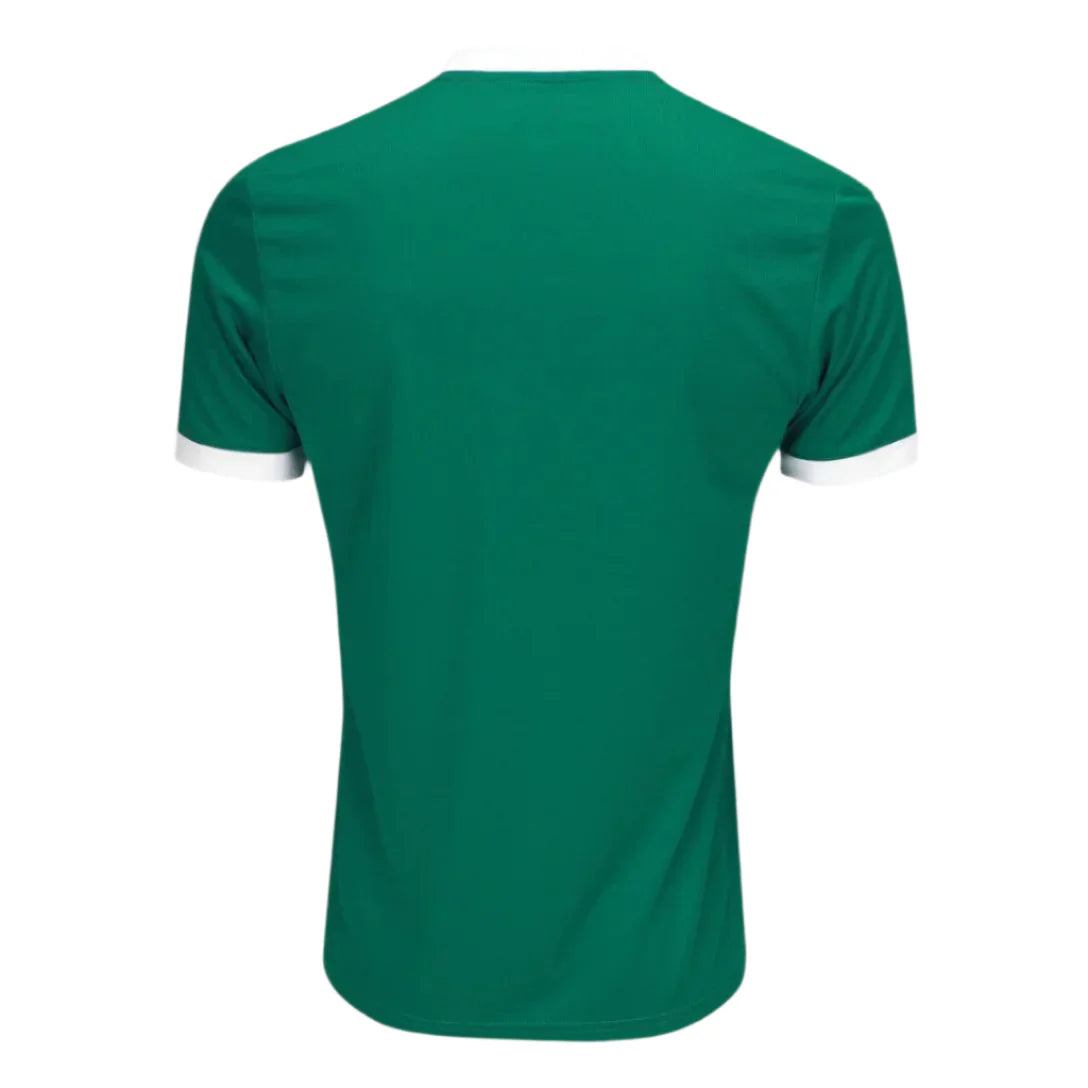 Camisa Palmeiras 2025/26 Home Torcedor Masculino