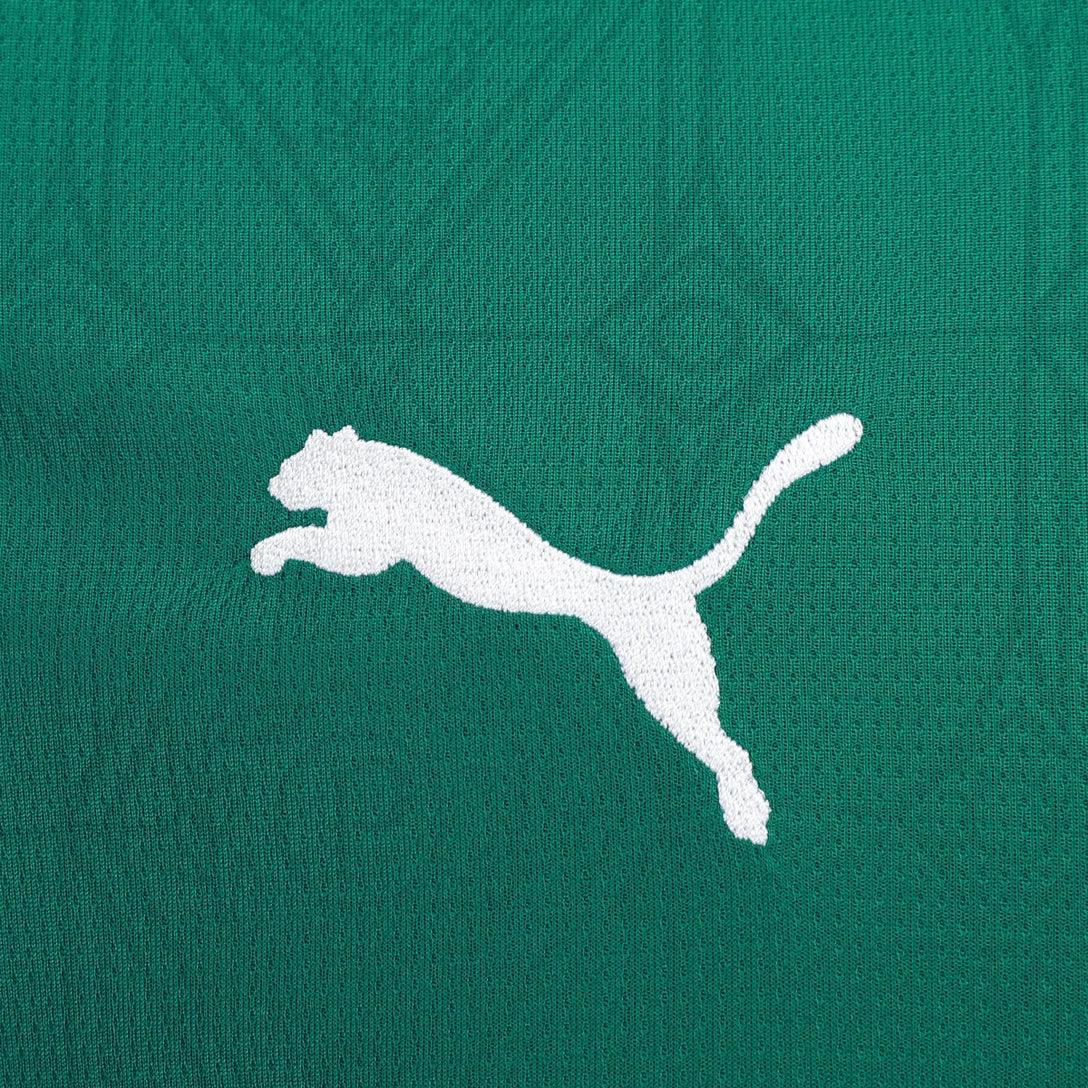 Camisa Palmeiras 2025/26 Home Torcedor Masculino