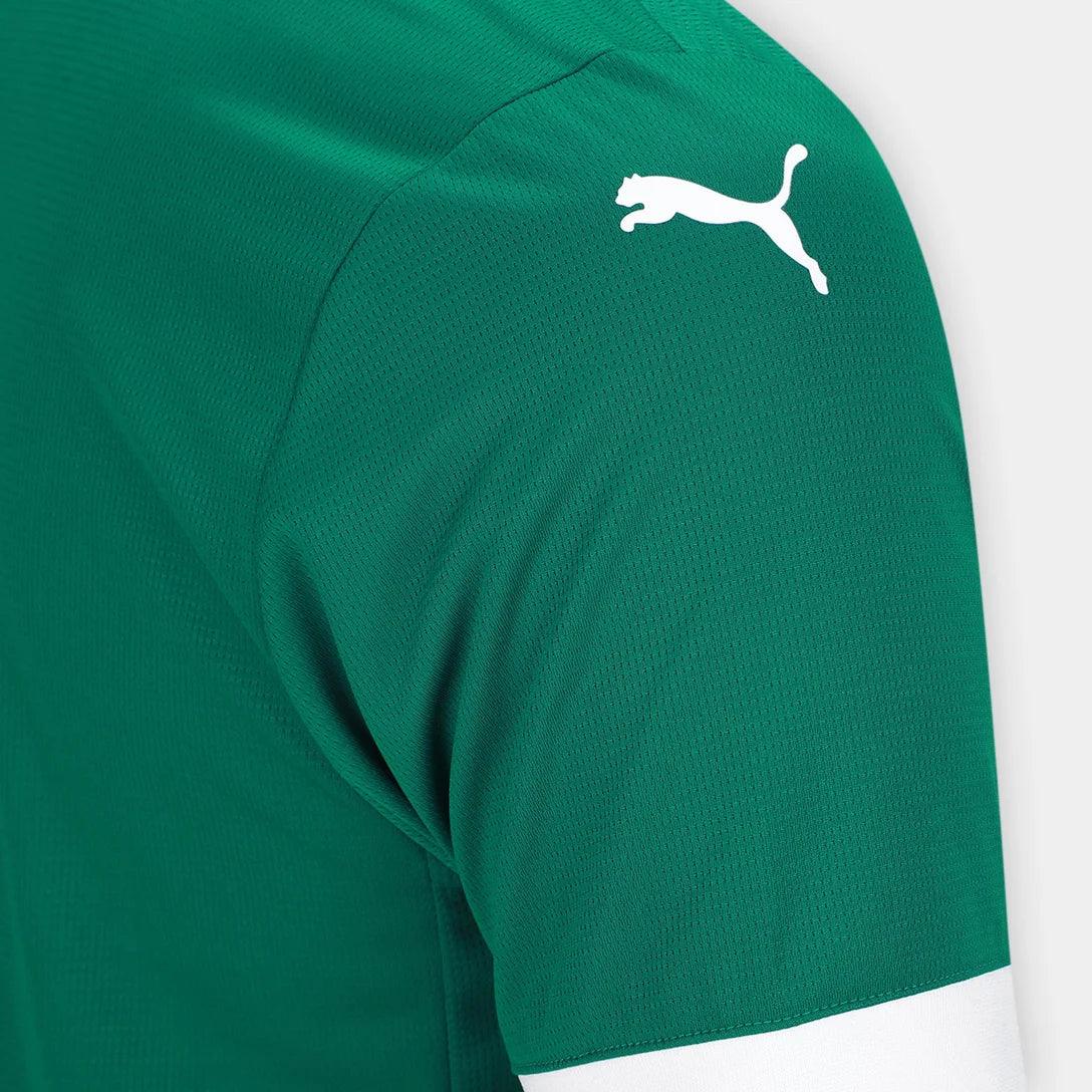 Camisa Palmeiras 2025/26 Home Torcedor Masculino