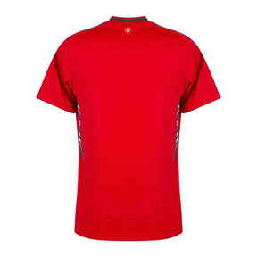 Camisa País de Gales 24/25 Home Torcedor Masculino