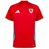 Camisa País de Gales 24/25 Home Torcedor Masculino