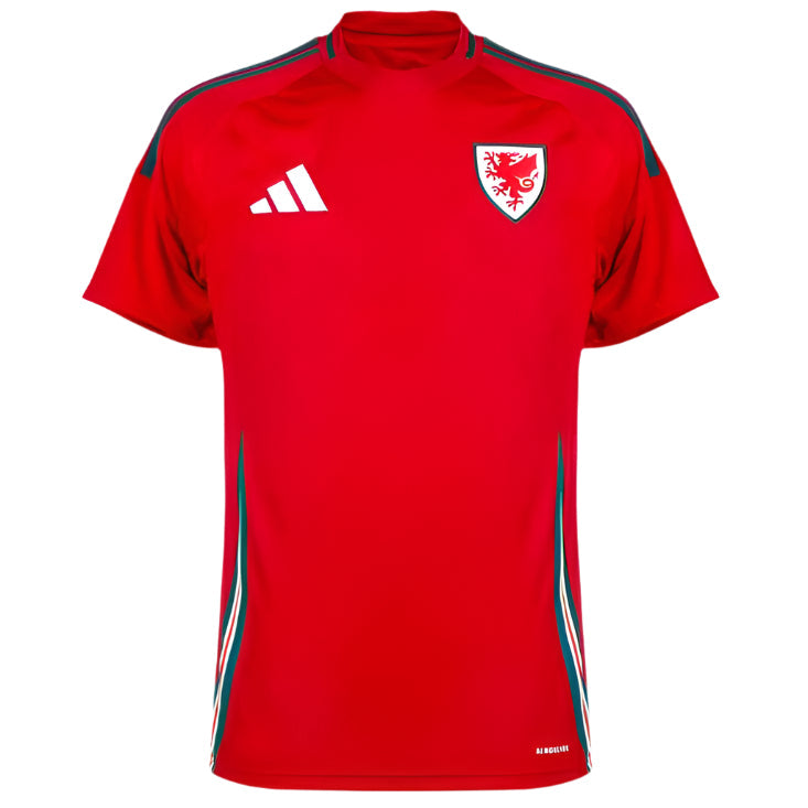 Camisa País de Gales 24/25 Home Torcedor Masculino