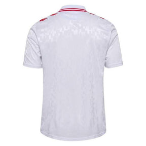 Camisa Dinamarca 24/25 Away Torcedor Masculino