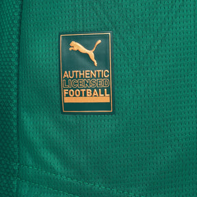 Camisa Palmeiras Jogador 2025/26 Home Masculino