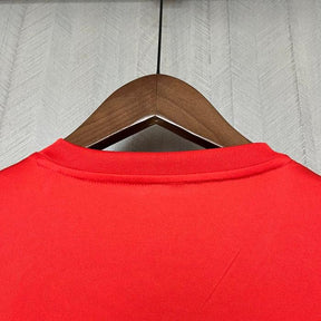 Camisa Internacional 24/25 Training Torcedor Masculino